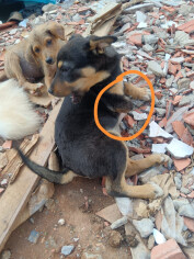 Image justificative de la cagnotte