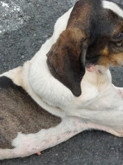 Image justificative de la cagnotte