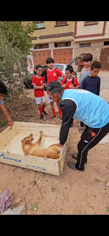 Image justificative de la cagnotte