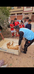 Image justificative de la cagnotte
