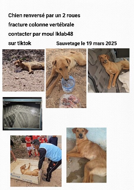 Image justificative de la cagnotte