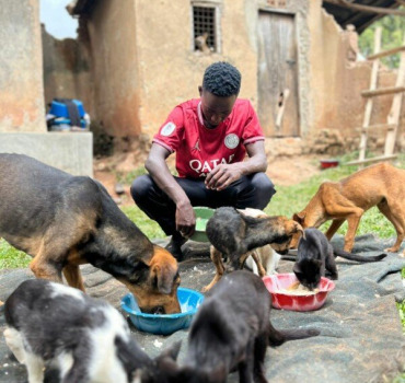 Les animaux de Daniel