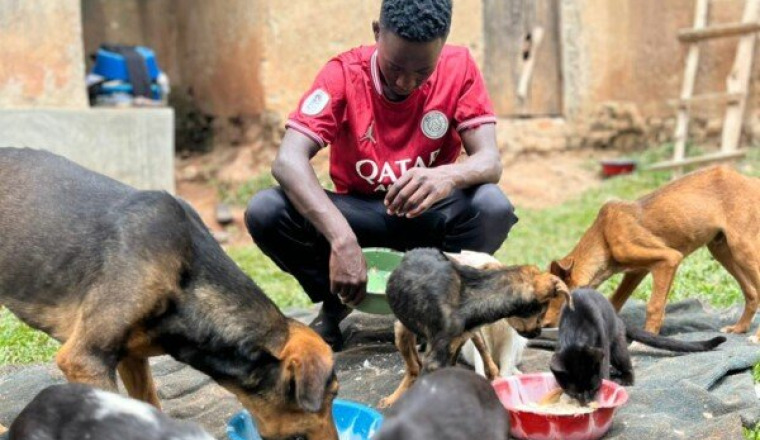 Les animaux de Daniel