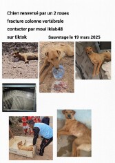 Image justificative de la cagnotte