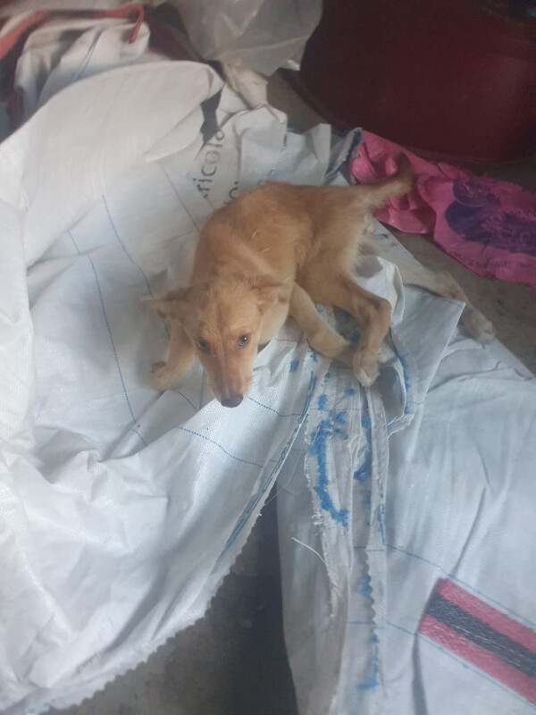 Image justificative de la cagnotte