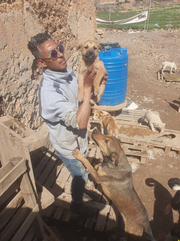 Image justificative de la cagnotte