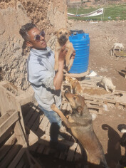 Image justificative de la cagnotte