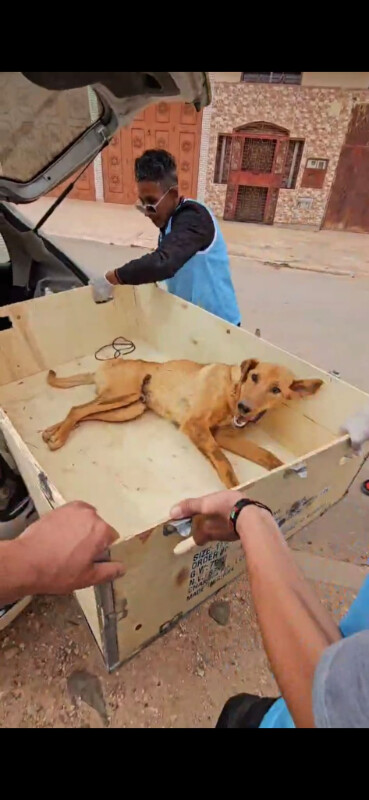 Image justificative de la cagnotte