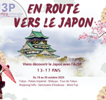 Un voyage au Japon pour les jeunes de l'AJ3P