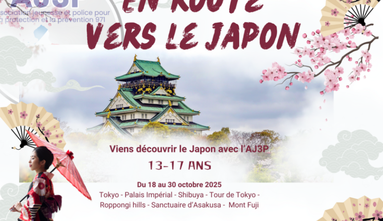 Un voyage au Japon pour les jeunes de l'AJ3P