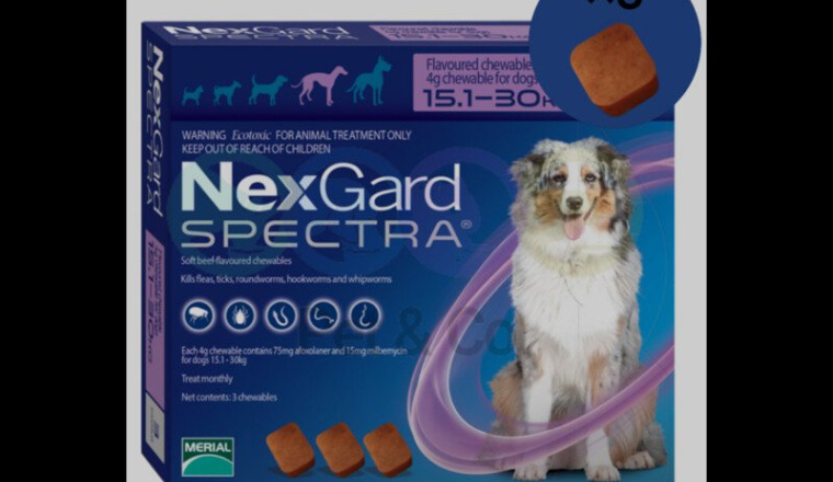 Nexgard pour tous 🫱🏼‍🫲🏽🥹❤️