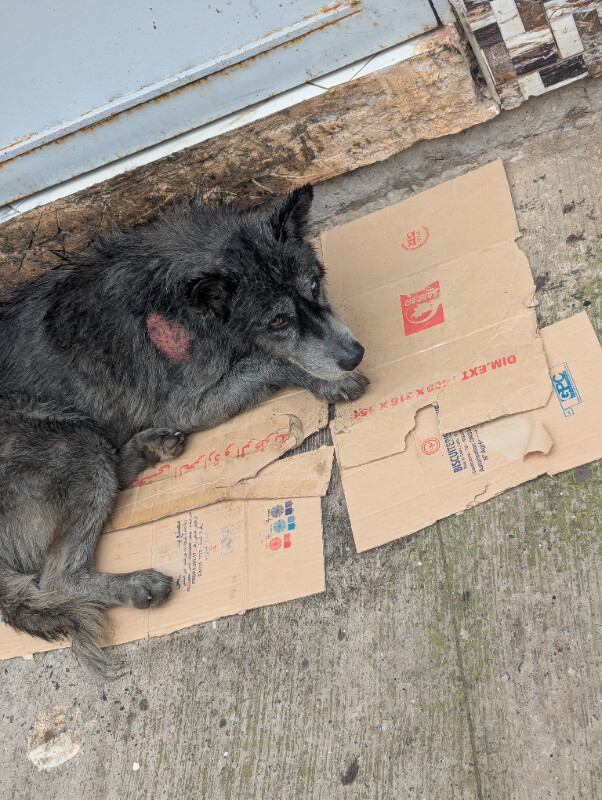 Image justificative de la cagnotte