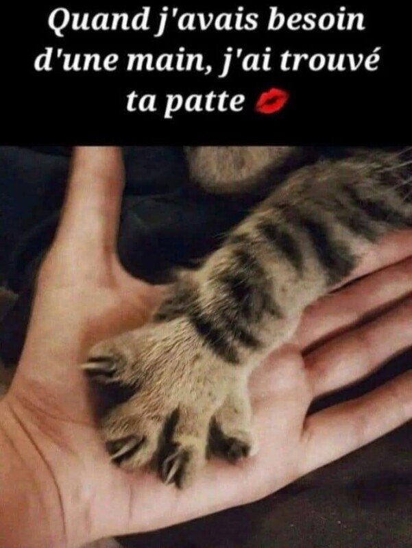 Un refuge pour ces amours