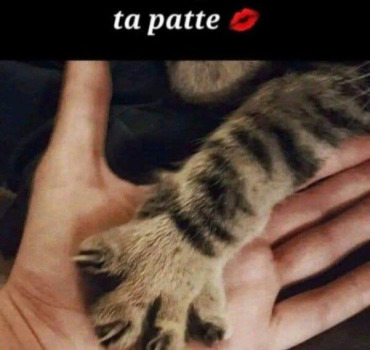 Un refuge pour ces amours