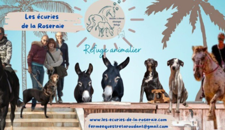 La cagnotte solidaire pour les animaux du refuge