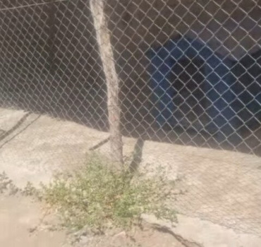 Déménagement en urgence du refuge