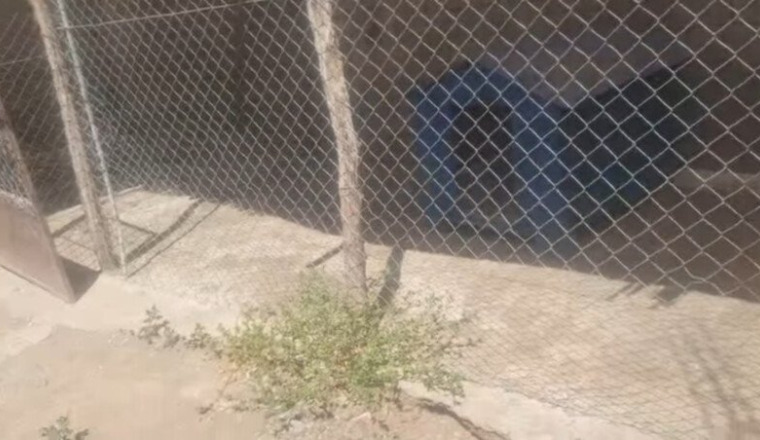 Déménagement en urgence du refuge