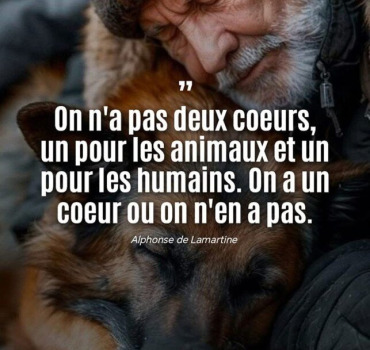 Dépenses refuge mira STAS mai