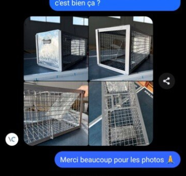 Achat cage trappe