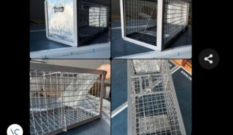 Achat cage trappe
