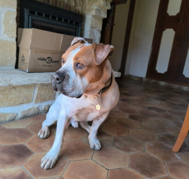 SAUVETAGE SIMBA