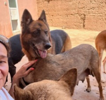 1 an du refuge Moroccan Dog Rescue