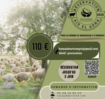 AID EL KEBIR 2025-1446