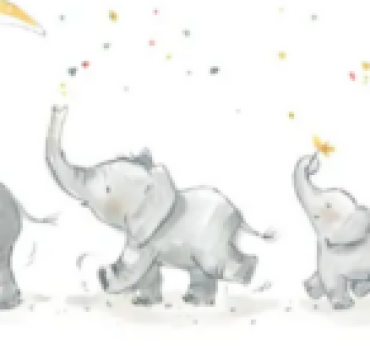 Naissance Noé