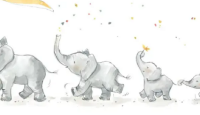 Naissance Noé