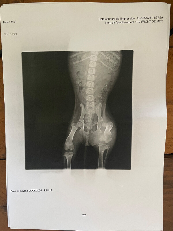 Fundraising proof image