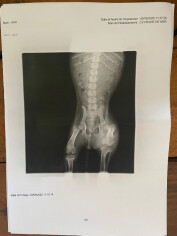 Fundraising proof image