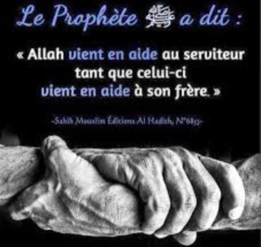 Titre : Soutien urgent à un frère malade en Égypte