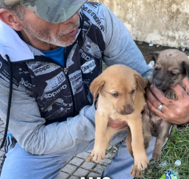 Un Scooter pour Hamo 🛵