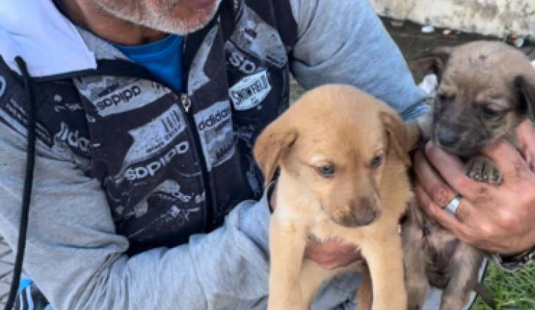 Un Scooter pour Hamo 🛵