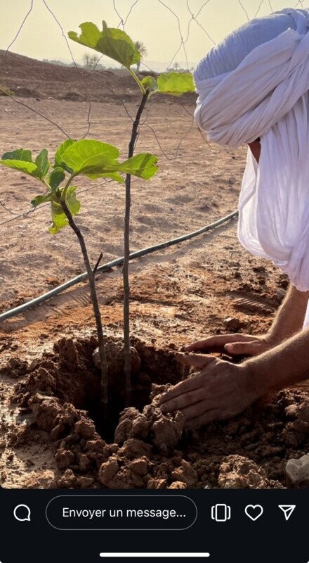 Plantation d’arbres fruitiers