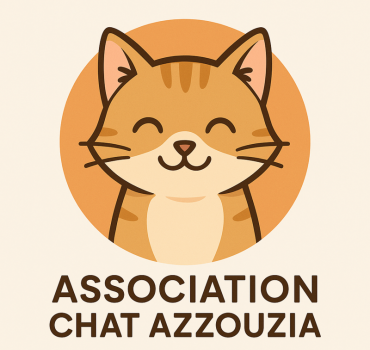 Stériliser soigner les chats de Marrakech Azzouzia