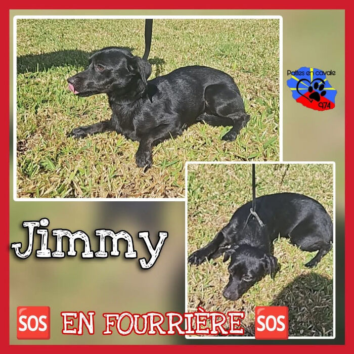 Image justificative de la cagnotte