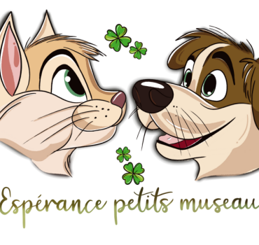Sortie fourrière chien