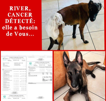 RIVER, Cancer détecté