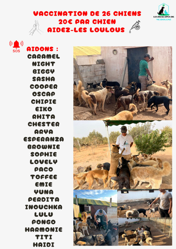 Image justificative de la cagnotte