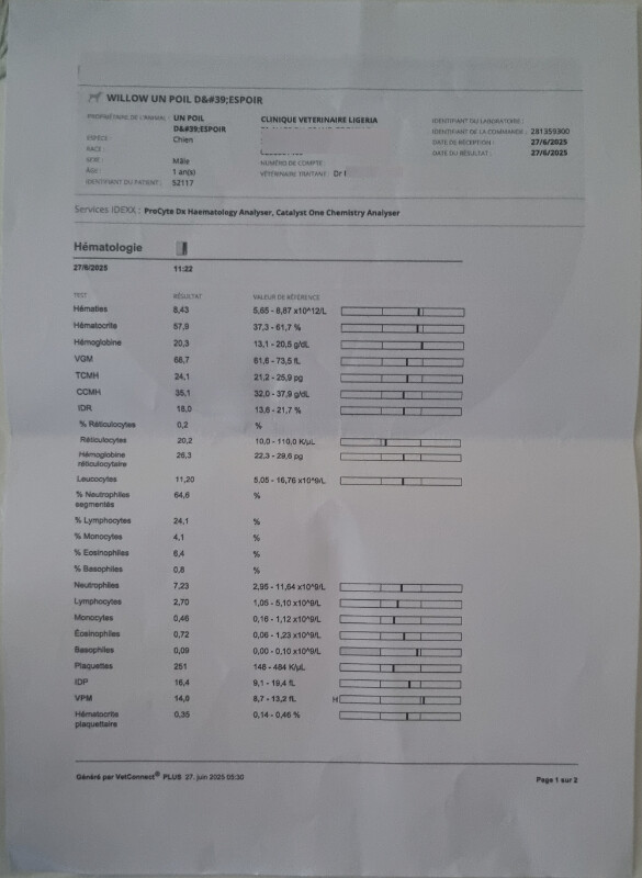 Fundraising proof image