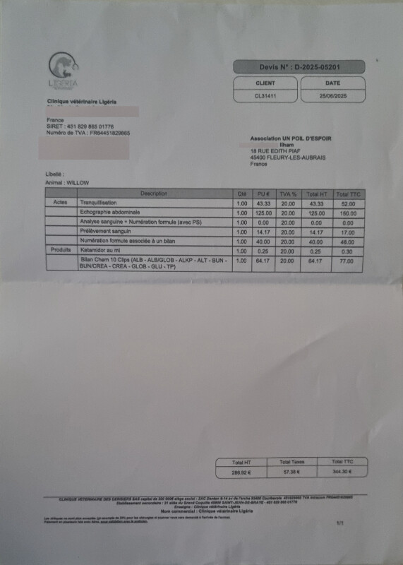 Fundraising proof image