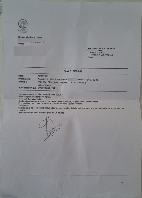Fundraising proof image