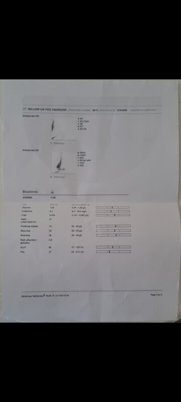 Fundraising proof image