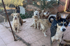 Image justificative de la cagnotte