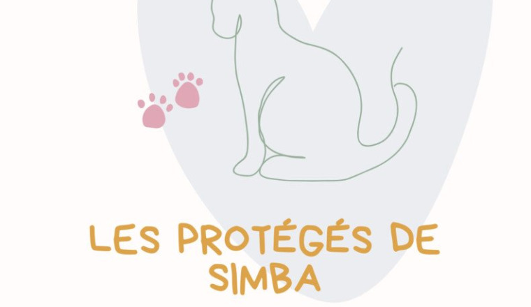 Association Les Protégés de Simba