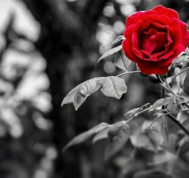 Pour Eden, en mémoire de Manon MARTIN