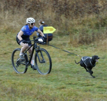 Championnats du monde de CaniVTT