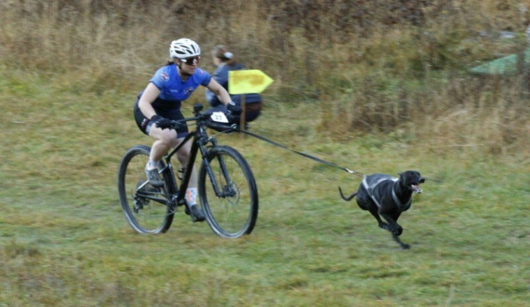 Championnats du monde de CaniVTT