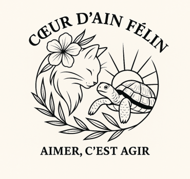 Asso cœur d’Ain felin